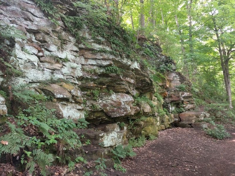 Example of the Ledges Along the Grand River. Click for full size. Example of the Ledges Along the Grand River image. Click for full size.