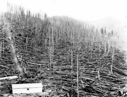 1910 Fire Blowup image. Click for full size.