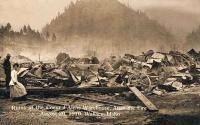 Coeur d'Alene mine after the 1919 Fire image. Click for full size.