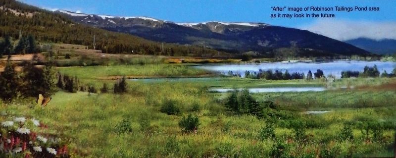 Marker detail: “After” image of Robinson Tailings Pond area as it may look in the future image. Click for full size.
