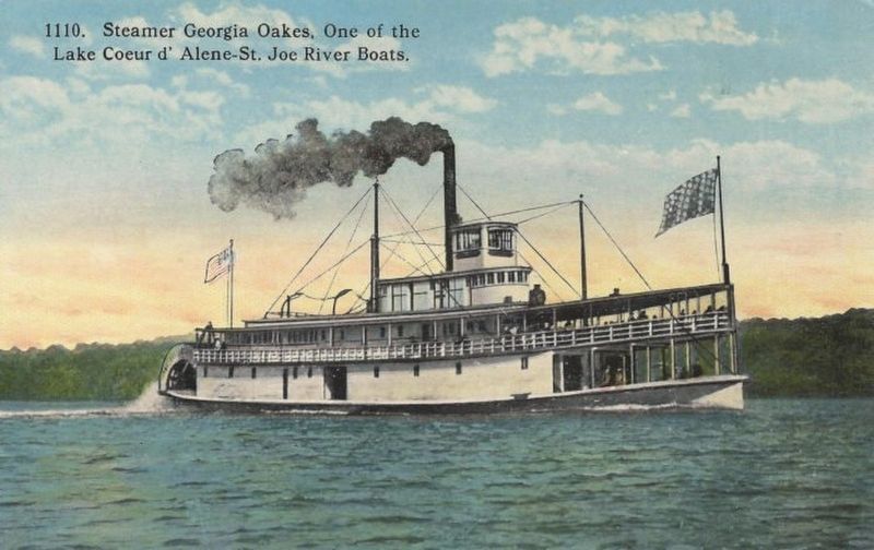 The Steamer Georgia Oaks. Click for full size. The Steamer Georgia Oaks image. Click for full size.