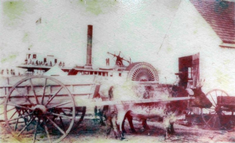 Contee's Wharf<br>circa 1900. Click for full size. Contee's Wharf<br>circa 1900 image. Click for full size.