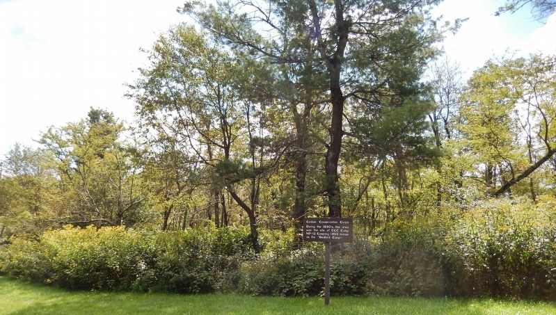 Civilian Conservation Corps Marker (<i>wide view; looking south from Piney River Area Road</i>) image. Click for full size.