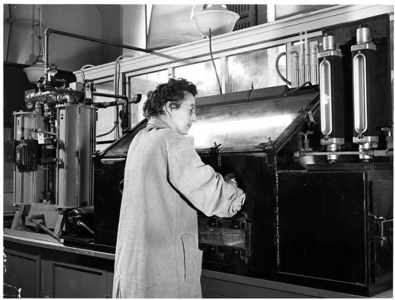 Edith Boldebuck image. Click for full size.