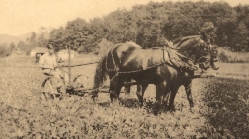 Marker detail: Early Appalachian farming image. Click for full size.