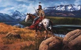 The Nez Perce Sikum (Appaloosa) image. Click for full size.