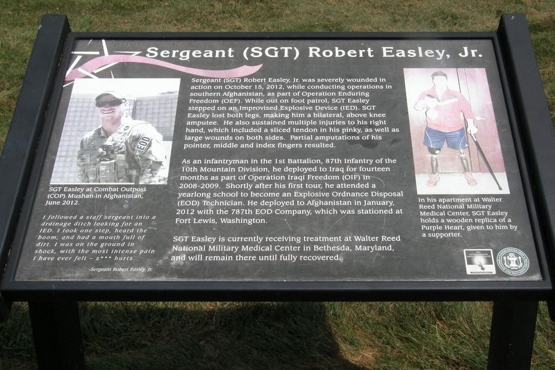 Sergeant (SGT) Robert Easley, Jr. Marker image. Click for full size.