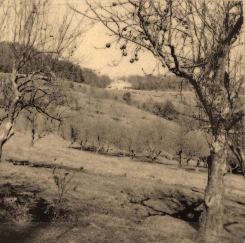 Marker detail: Flat Top Manor viewed from apple orchard in Cone park, 1976. Click for full size. Marker detail: Flat Top Manor viewed from apple orchard in Cone park, 1976 image. Click for full size.