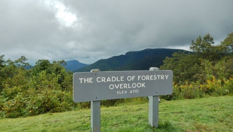 Cradle of Forestry Overlook Sign (<i>located a few steps from this marker</i>). Click for full size. Cradle of Forestry Overlook Sign (<i>located a few steps from this marker</i>) image. Click for full size.