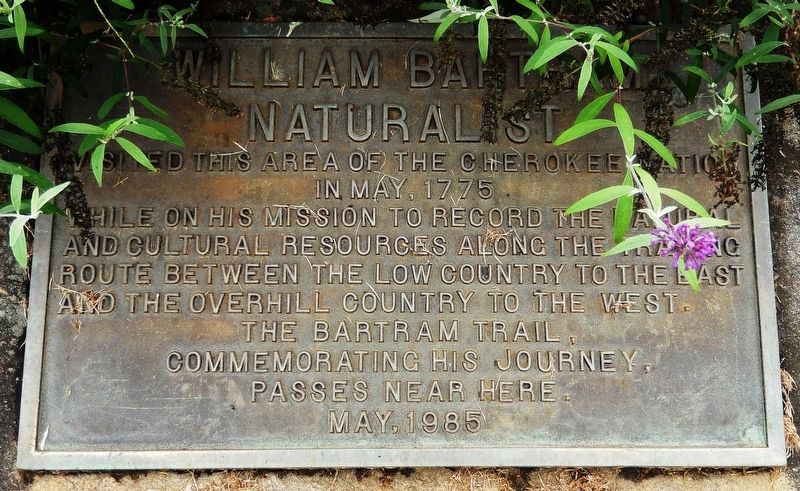 William Bartram Naturalist Marker. Click for full size. William Bartram Naturalist Marker image. Click for full size.