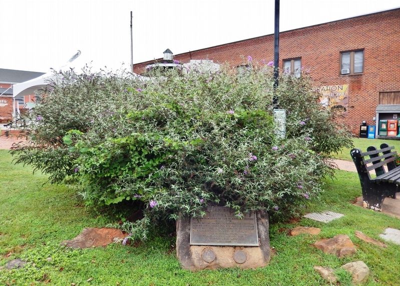 William Bartram Naturalist Marker (<i>wide view from Main Street/Iotla Street intersection</i>). Click for full size. William Bartram Naturalist Marker (<i>wide view from Main Street/Iotla Street intersection</i>) image. Click for full size.
