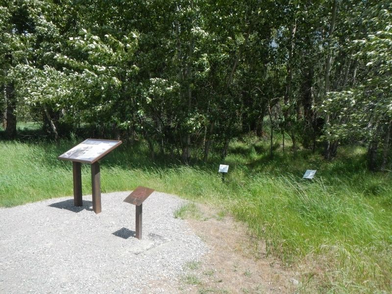 Uncovering the Expedition Marker. Click for full size. Uncovering the Expedition Marker image. Click for full size.
