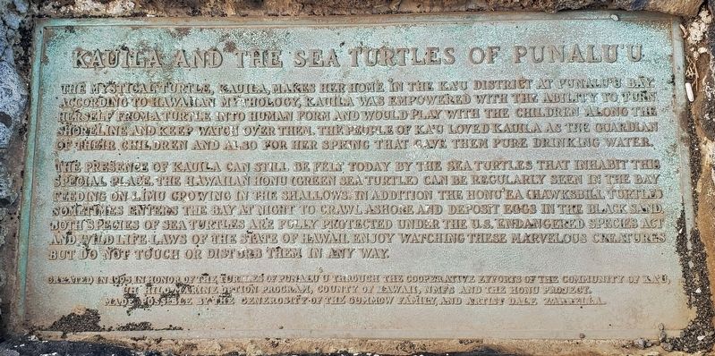 Kauila and the Sea Turtles of Punalu'u Marker image. Click for full size.