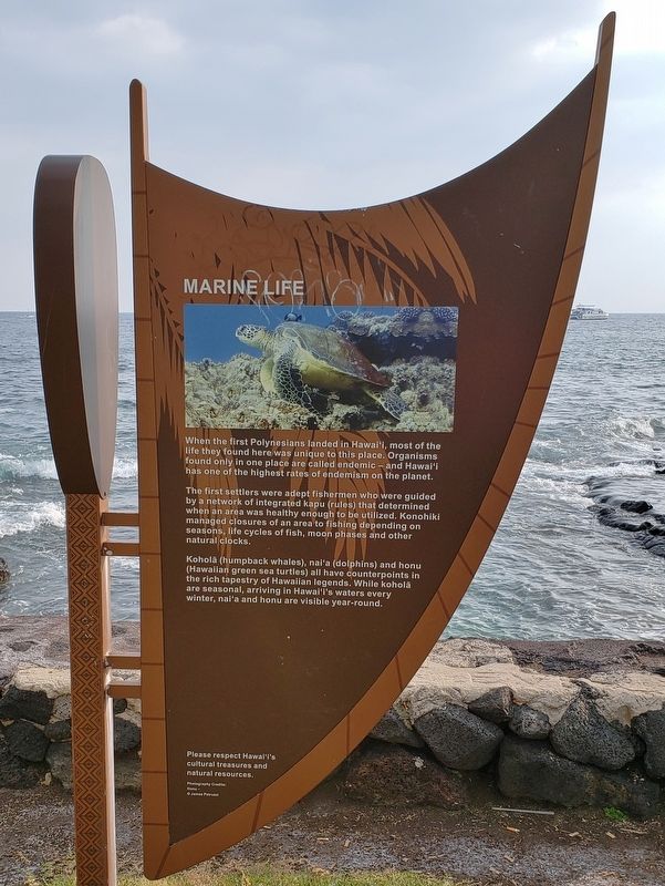 Marine Life Marker. Click for full size. Marine Life Marker image. Click for full size.