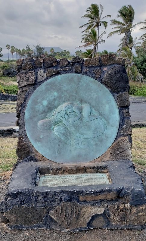 Kauila and the Sea Turtles of Punalu'u Marker (<i>tall view</i>) image. Click for full size.