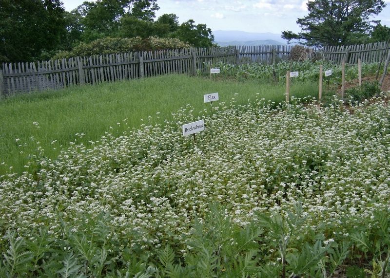 Brinegar Cabin (<i>garden view</i>) image. Click for full size.