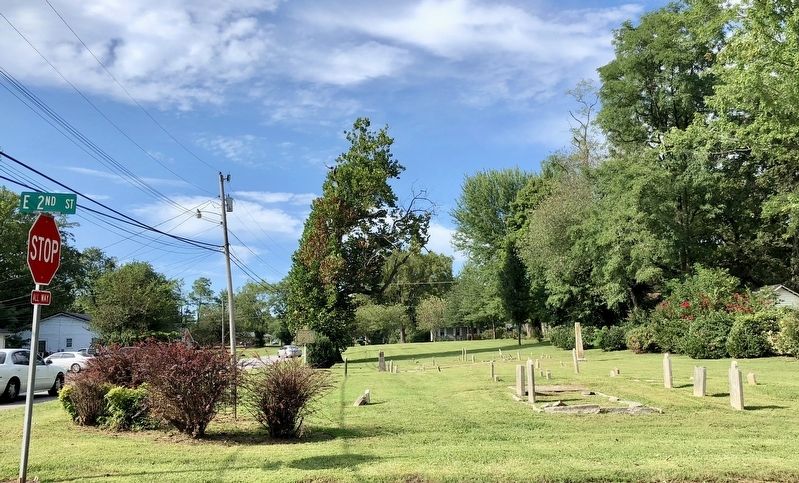 View of John Littlejohn Cemetery looking north. image. Click for full size.