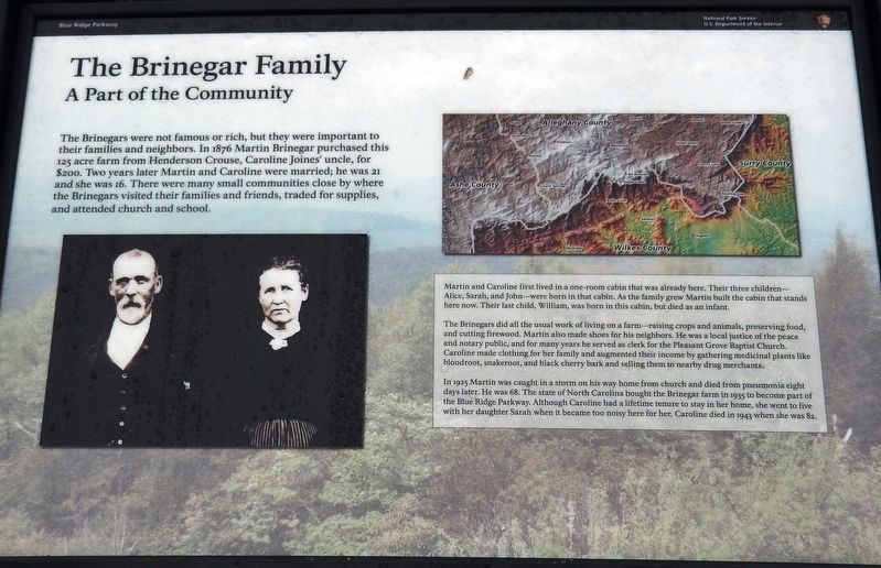 The Brinegar Family Marker image. Click for full size.