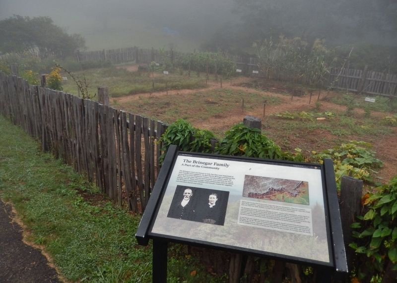 The Brinegar Family Marker (<i>wide view; Brinegar garden in background</i>) image. Click for full size.
