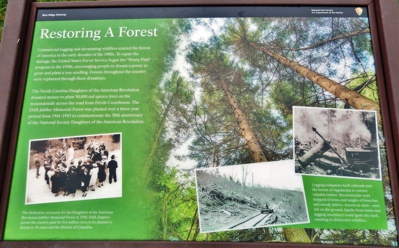 Restoring A Forest Marker image. Click for full size.
