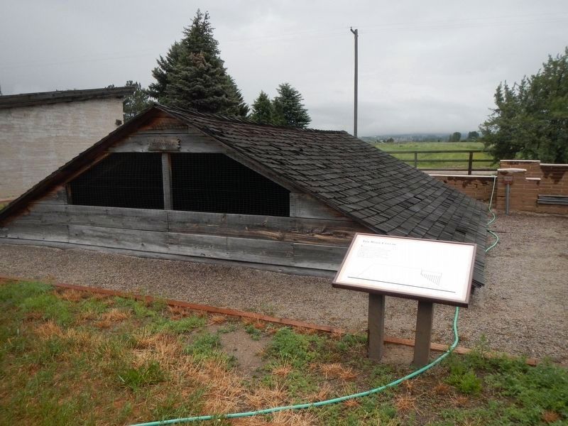 The Root Cellar. Click for full size. The Root Cellar image. Click for full size.