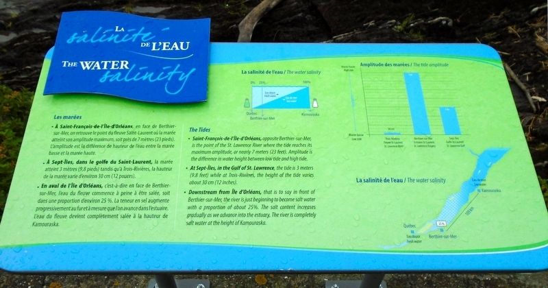 La salinite de l'eau / The Water Salinity Marker. Click for full size. La salinite de l'eau / The Water Salinity Marker image. Click for full size.