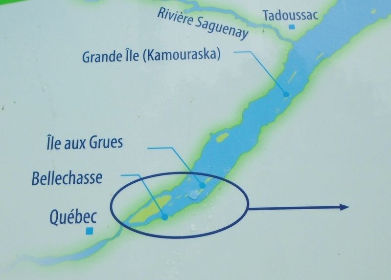 Les naufrages dans le secteur / Shipwrecks in the Sector Marker Detail. Click for full size. Les naufrages dans le secteur / Shipwrecks in the Sector Marker Detail image. Click for full size.