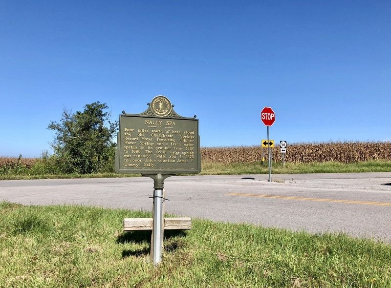 Nally Spa Marker with view of Kentucky Highway 56. image. Click for full size.