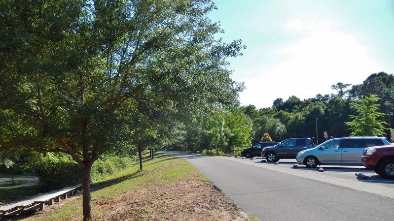 Blackwater Heritage Trail (<i>view south along trail from marker</i>). Click for full size. Blackwater Heritage Trail (<i>view south along trail from marker</i>) image. Click for full size.