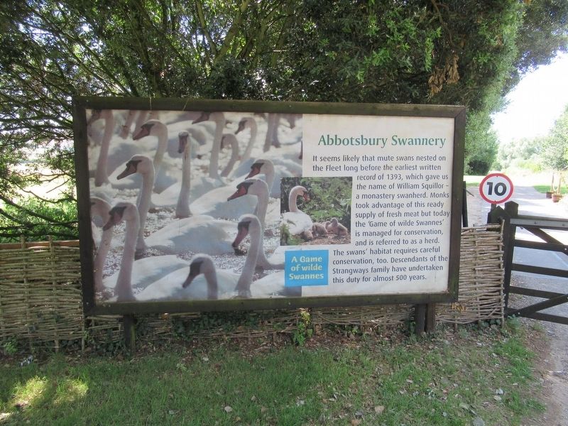 Abbotsbury Swannery Marker. Click for full size. Abbotsbury Swannery Marker image. Click for full size.