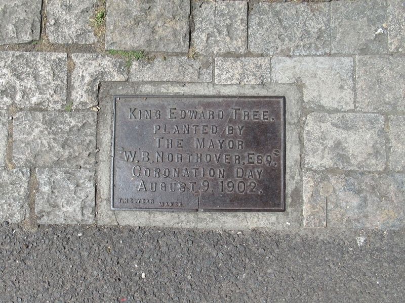 King Edward Tree Marker. Click for full size. King Edward Tree Marker image. Click for full size.