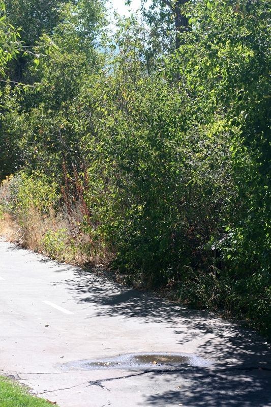 The marker is surrounded by vegetation. Click for full size. The marker is surrounded by vegetation image. Click for full size.