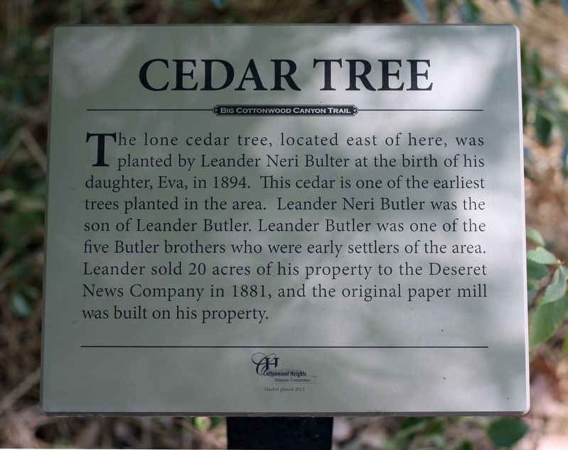 Cedar Tree Marker image. Click for full size.