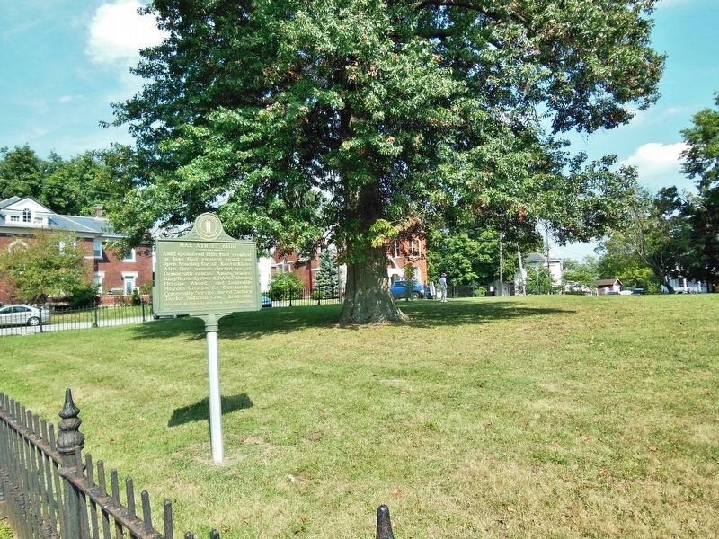 Mae Street Kidd Marker (<i>wide view from Main Street</i>). Click for full size. Mae Street Kidd Marker (<i>wide view from Main Street</i>) image. Click for full size.