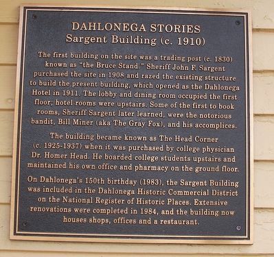 Dahlonega Stories Marker. Click for full size. Dahlonega Stories Marker image. Click for full size.