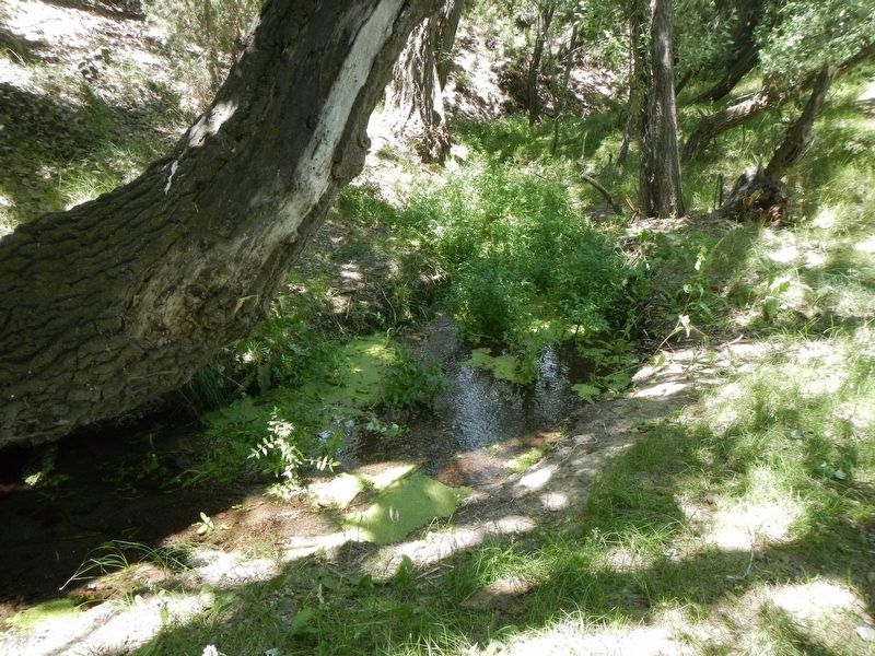 Mc Clendon Springs. Click for full size. Mc Clendon Springs image. Click for full size.