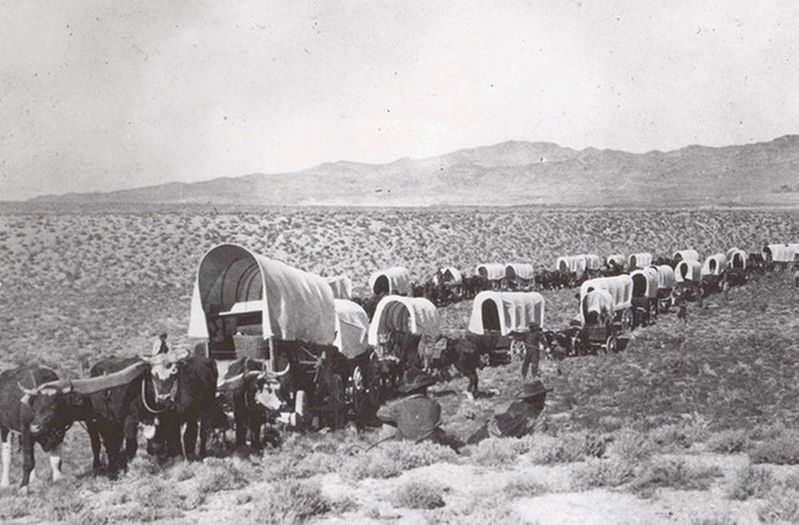 Covered wagons on the Oregon Trail. Click for full size. Covered wagons on the Oregon Trail image. Click for full size.