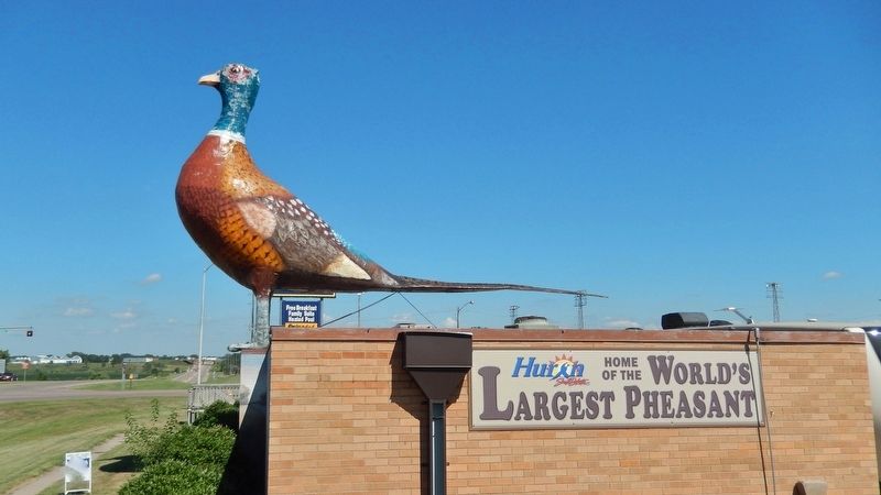 The World's Largest Pheasant (<i>west side view</i>) image. Click for full size.