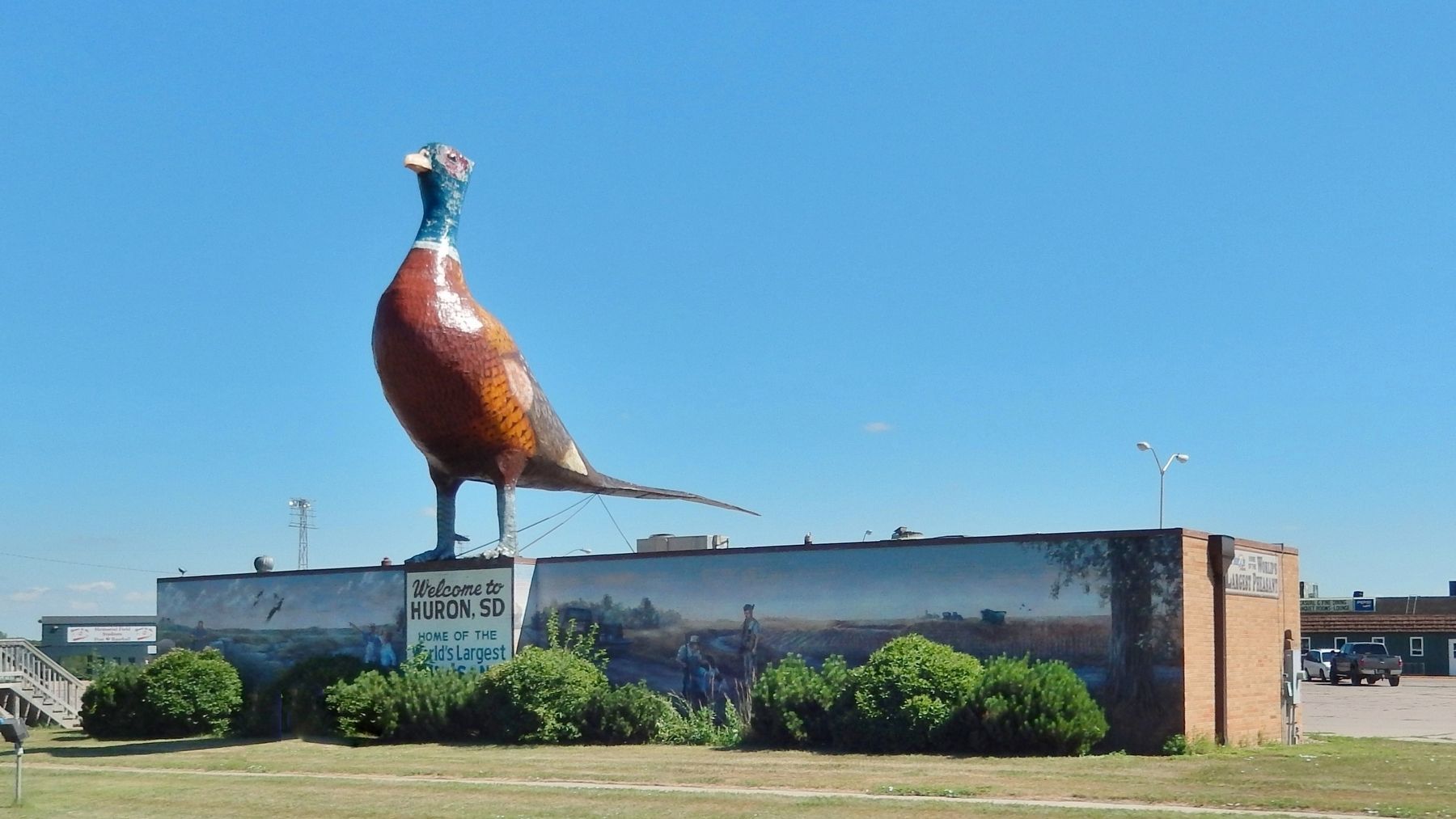 The World's Largest Pheasant (<i>wide view from U.S. Highway 14</i>) image. Click for full size.