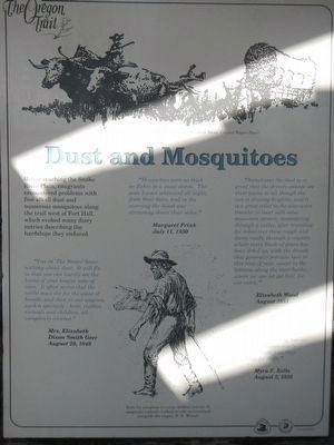 Dust and Mosquitoes panel image. Click for full size.
