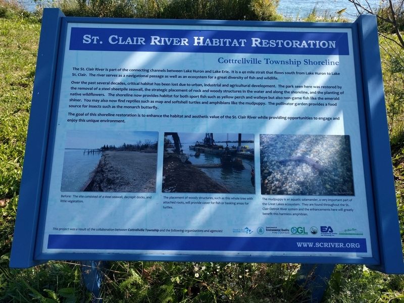 St. Clair River Habitat Restoration: Cottrellville Township Shoreline Marker image. Click for full size.
