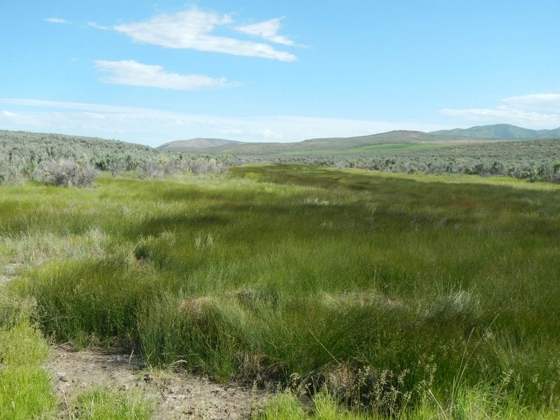 Twin Springs image. Click for full size.