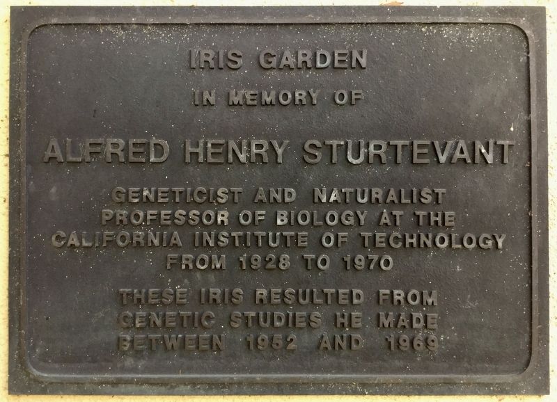 Iris Garden Marker. Click for full size. Iris Garden Marker image. Click for full size.