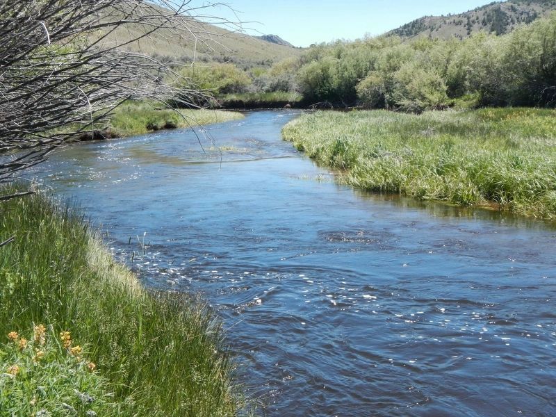 Grasshopper Creek image. Click for full size.