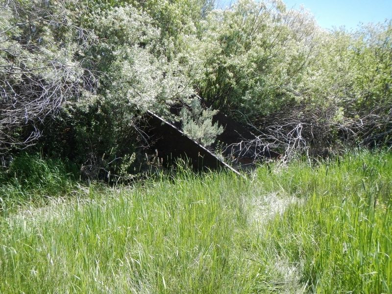 Relics of the <i> F.L. Graves</i> electric dredge image. Click for full size.