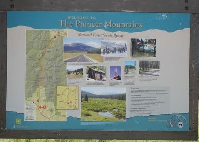 Welcome to The Pioneer Mountains National Forest Scenic Byway panel image. Click for full size.