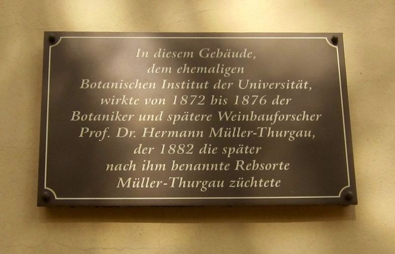 Hermann Müller-Thurgau Marker. Click for full size. Hermann Müller-Thurgau Marker image. Click for full size.