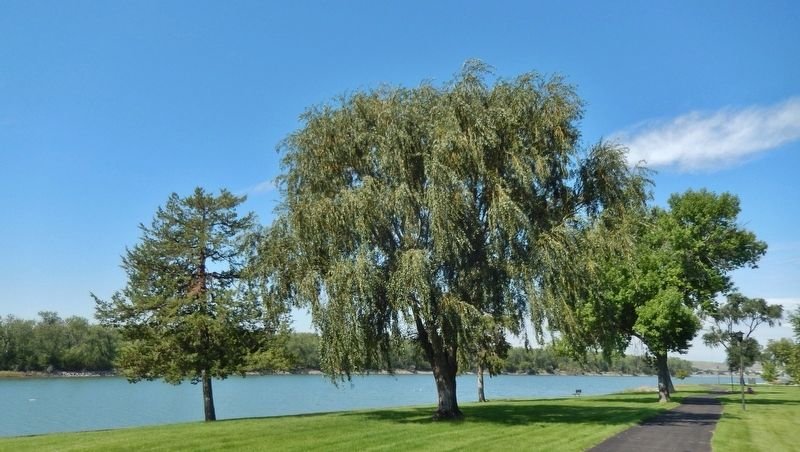 Lewis & Clark Trail & Missouri River (<i>view north from marker</i>). Click for full size. Lewis & Clark Trail & Missouri River (<i>view north from marker</i>) image. Click for full size.