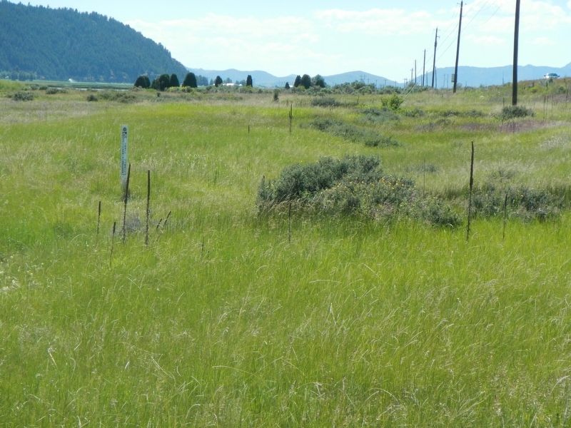 The Oregon Trail. Click for full size. The Oregon Trail image. Click for full size.
