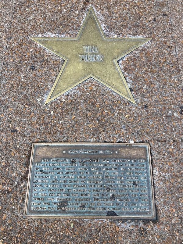 Tina Turner Marker image. Click for full size.
